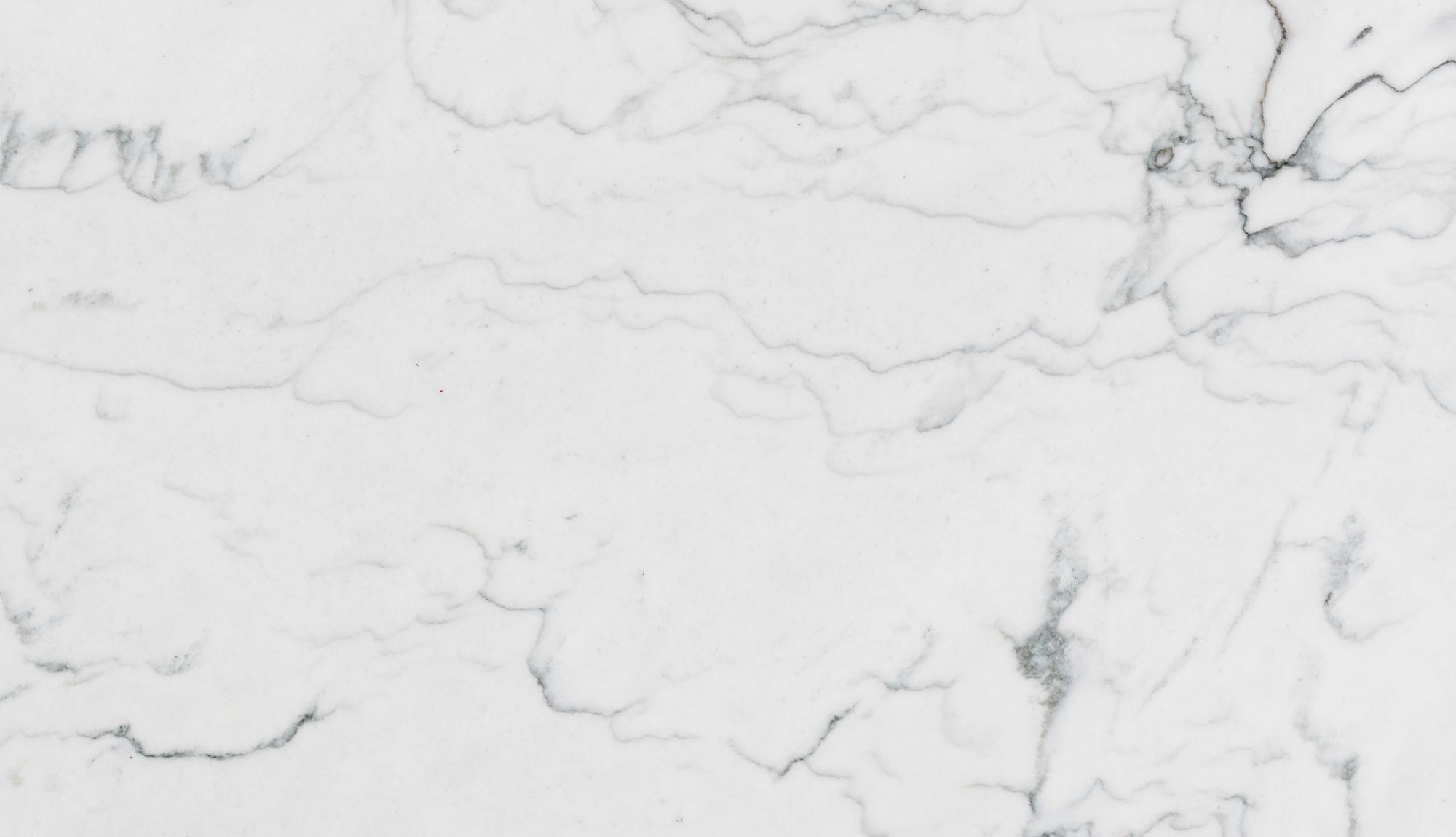 Detail of pale marble showing the fine veining and dense surface of the stone